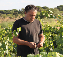 José Luis Escudero