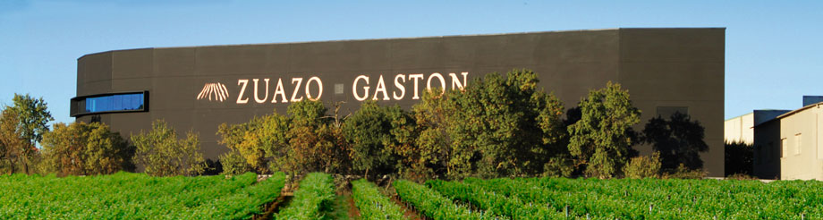 Bodegas y Viñedos Zuazo Gastón 
