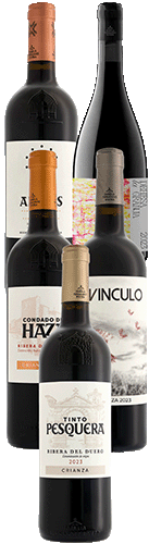 Colección Familia Fernández Rivera