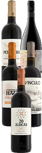 Colección Familia Fernández Rivera
 