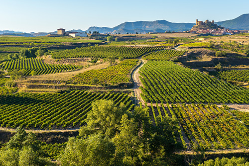Rioja