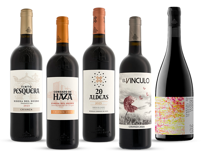 Colección Familia Fernández Rivera 2026