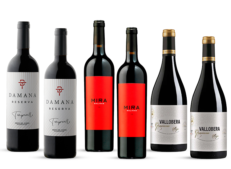 Colección Grupo Pesquera 2025