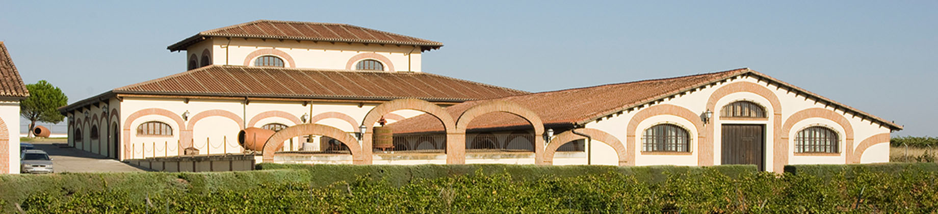Disfruta de un 2x1 en la visita a Bodegas Fariña: el origen de Toro