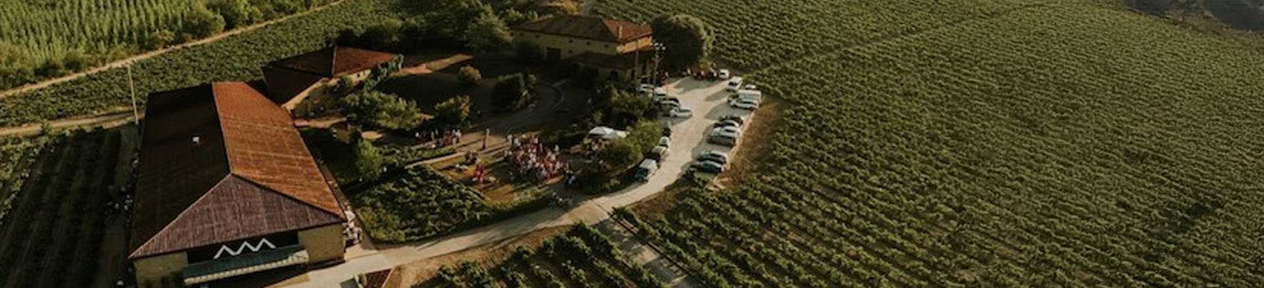 Visita Bodegas Amézola de la Mora