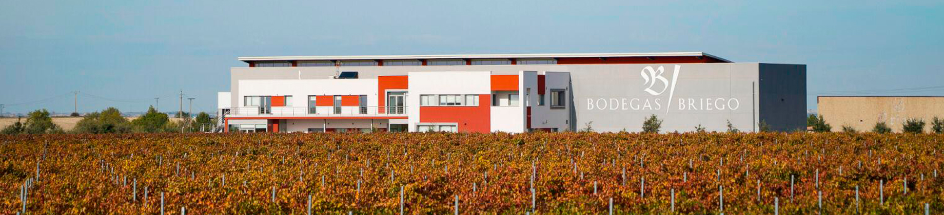 Visita Bodegas Briego