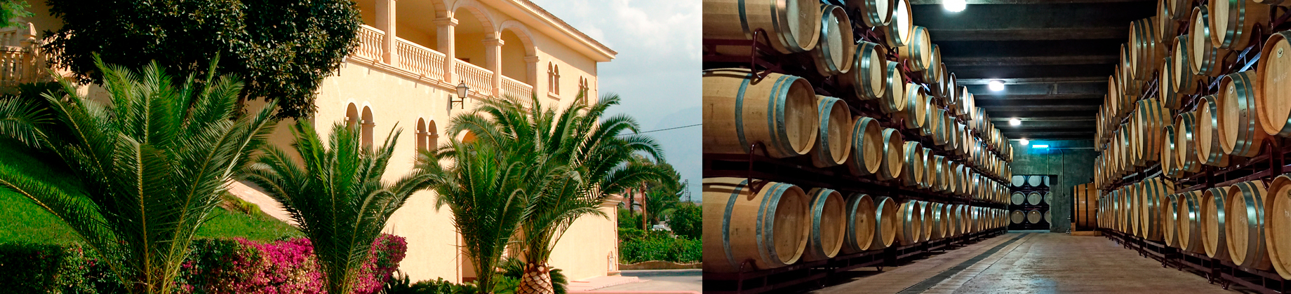 Visita a Bodegas Mendoza