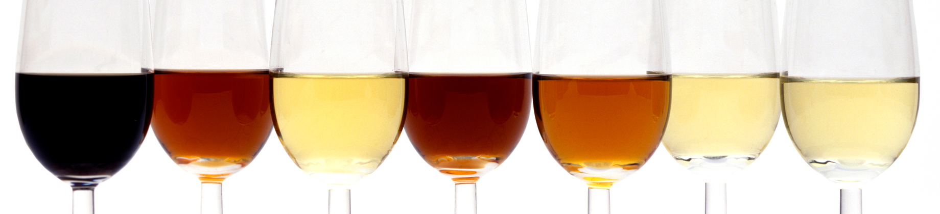 Curso y cata de vinos de Jerez en Madrid