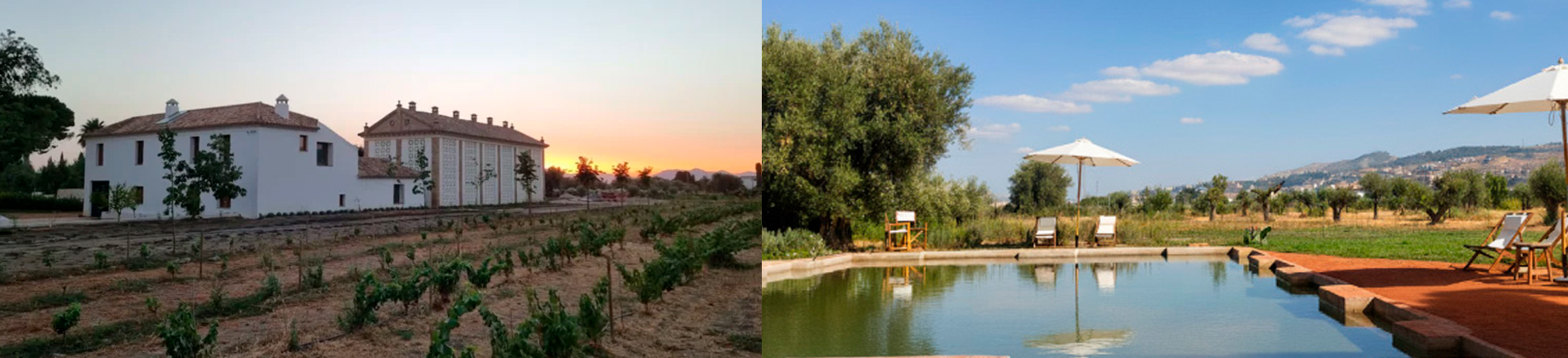 Cortijo De La Seda
