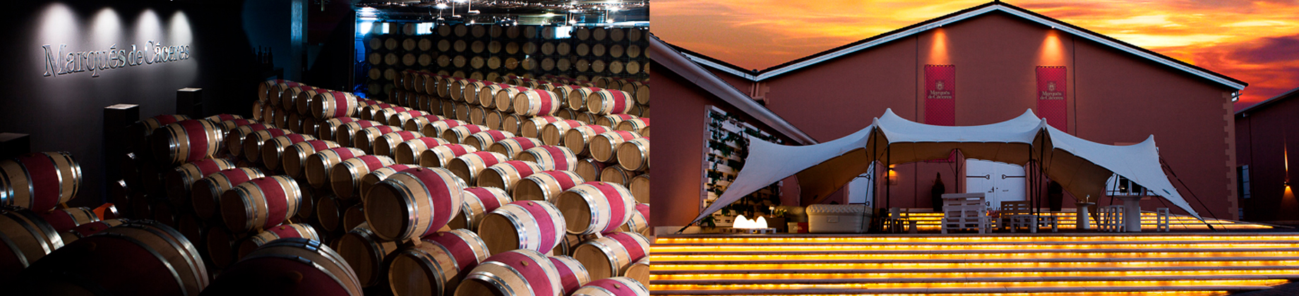 Visita Bodegas Marqués de Cáceres