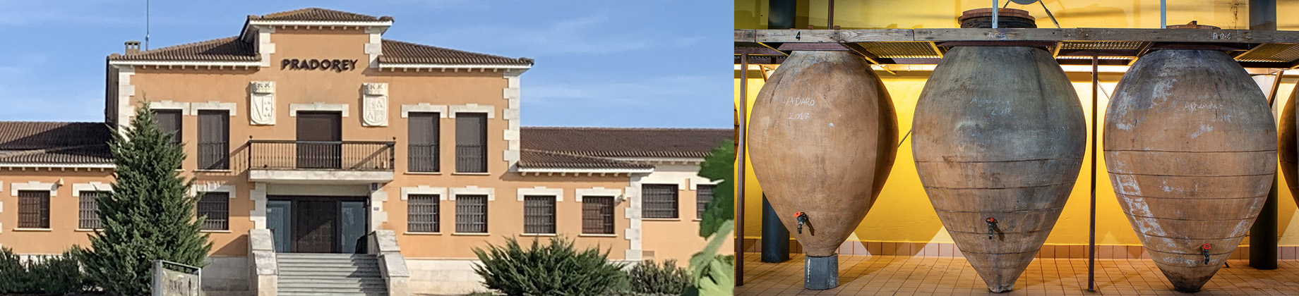 Visita a Bodegas Pradorey