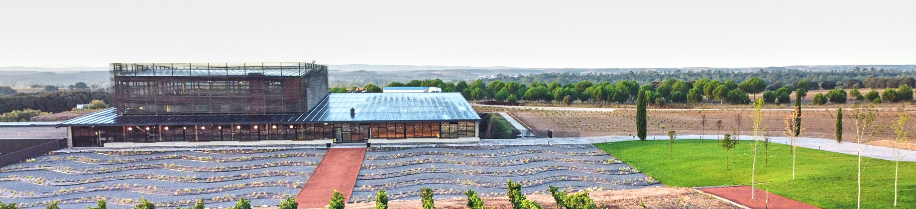 Tour guiado por Bodega Bela, con cata de sus vinos top y aperitivo de ibéricos