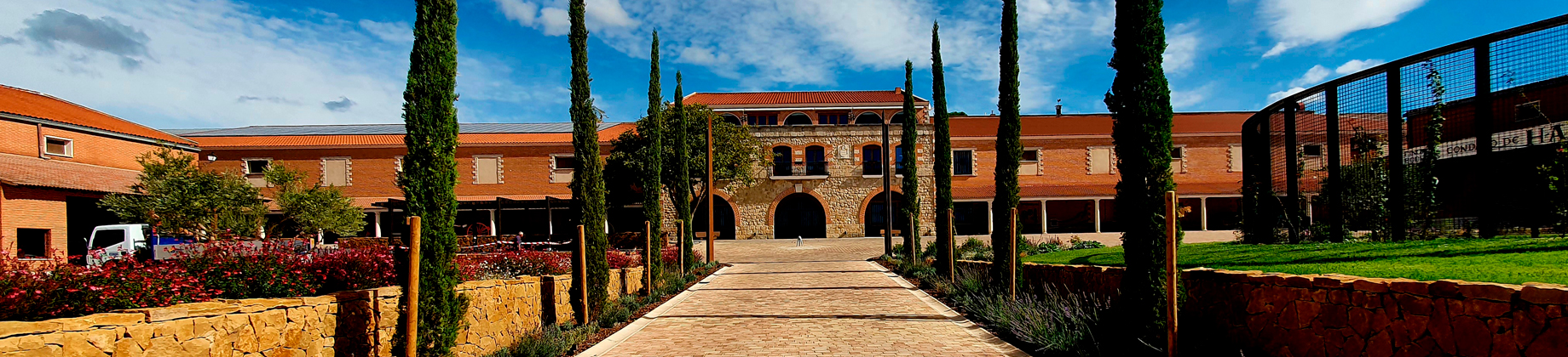 Disfruta de un descuento exclusivo para visitar todas las bodegas del grupo Familia Fernández Rivera