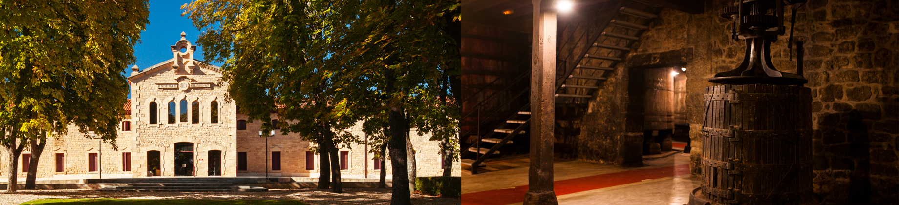 Visita a Bodegas Bilbaínas