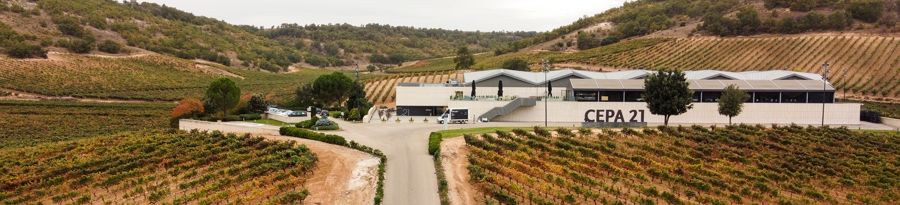 Visita con cata a Cepa 21, la esencia de Ribera del Duero