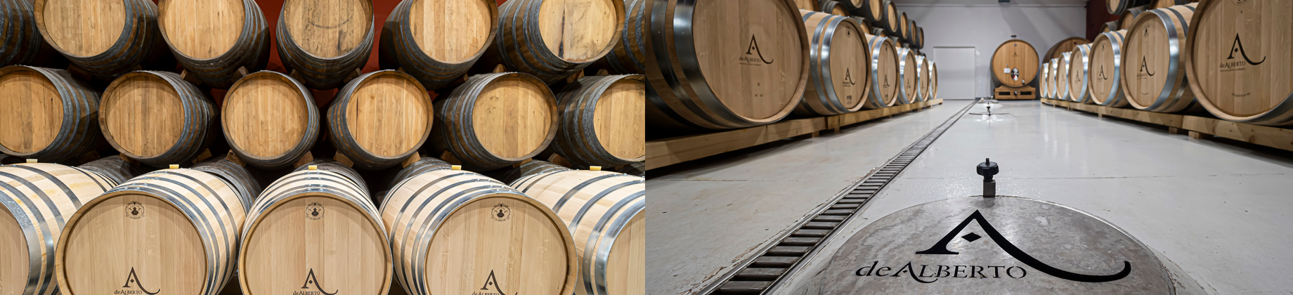 Visita con cata a Bodegas De Alberto, una firma histórica de la D.O. Rueda