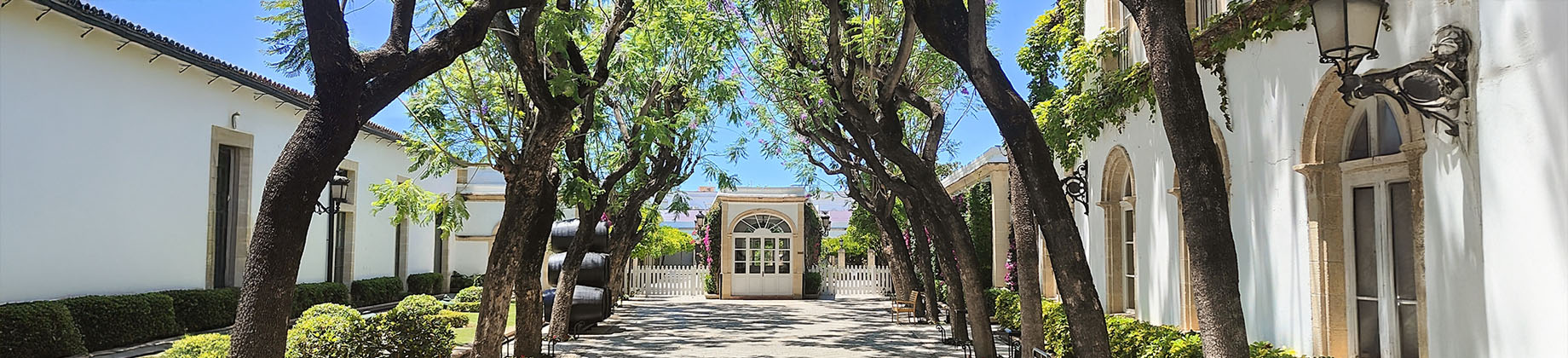 Visita a Bodegas Osborne