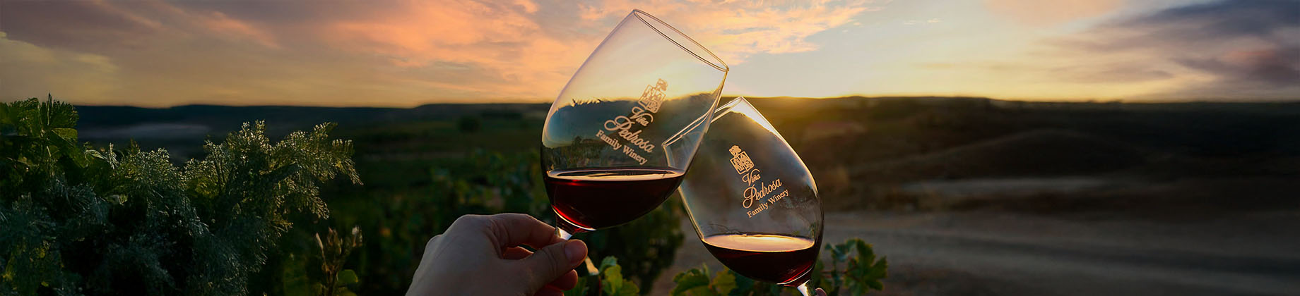 Bodegas Viña Pedrosa