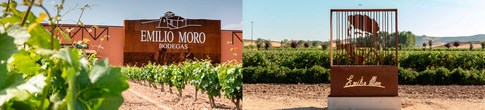 Disfruta de un descuento especial para visitar Bodegas Emilio Moro