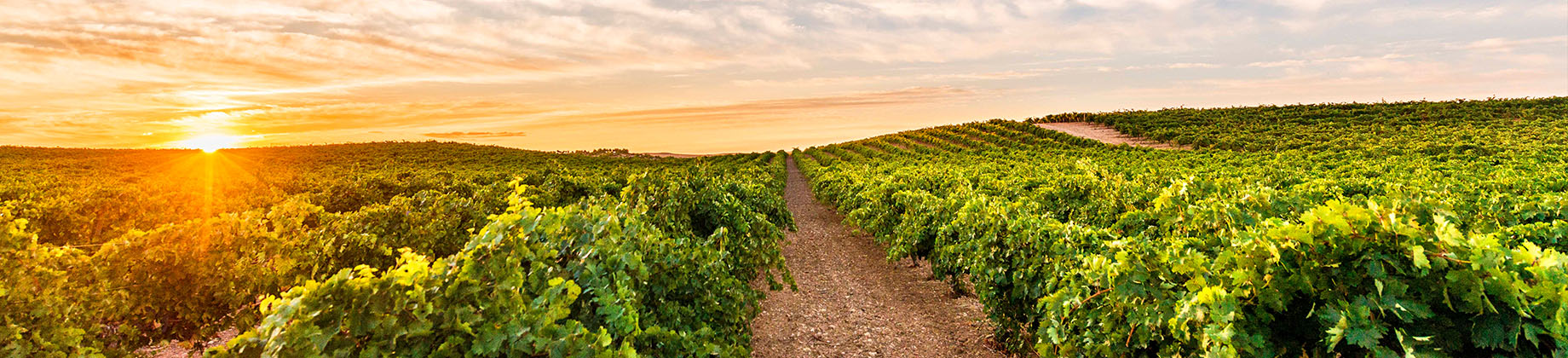 Visita a Finca La Estacada con un descuento especial