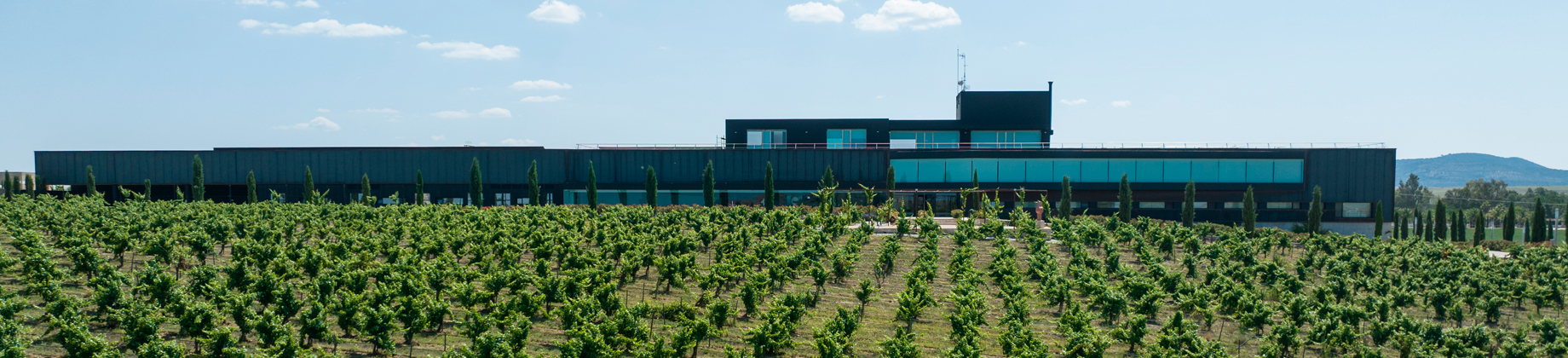 Descubre la bodega más icónica de Extremadura a un precio muy especial