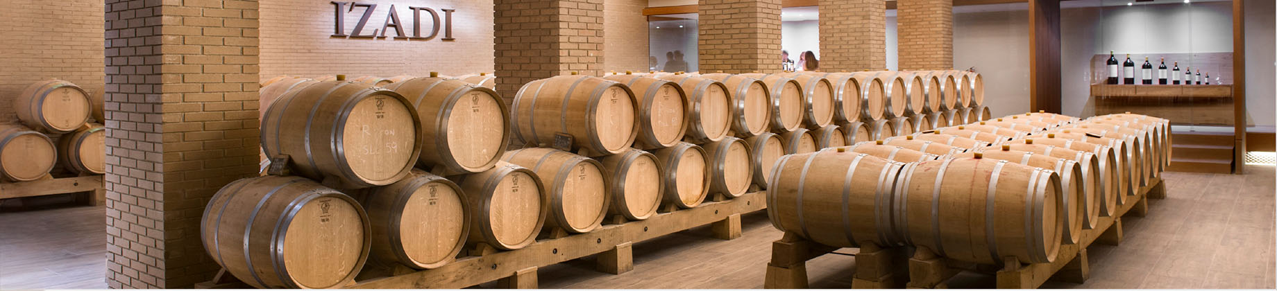 Visita a Bodegas Izadi