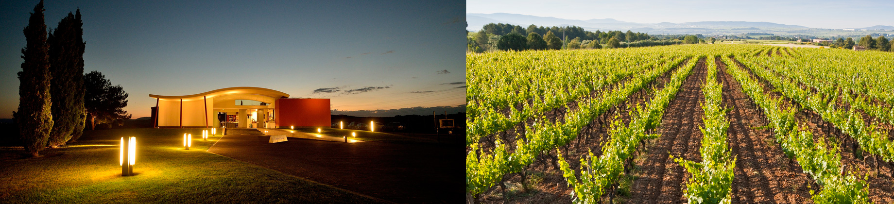 Vive la experiencia Jean Leon en el corazón del Penedès con un descuento exclusivo
