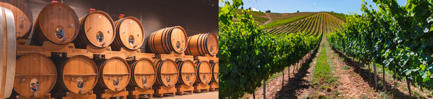 Disfruta de un descuento especial para visitar Bodegas Emilio Moro en el Bierzo