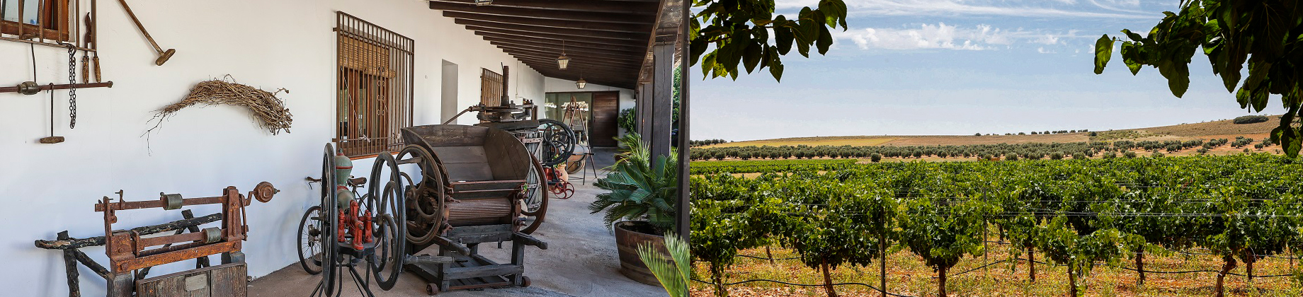 Descubre la historia de los vinos manchegos en una visita con cata y aperitivo a Bodegas Naranjo