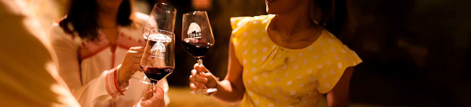 Visita con cata y aperitivo a una bodega histórica: “Experiencia Tovar”