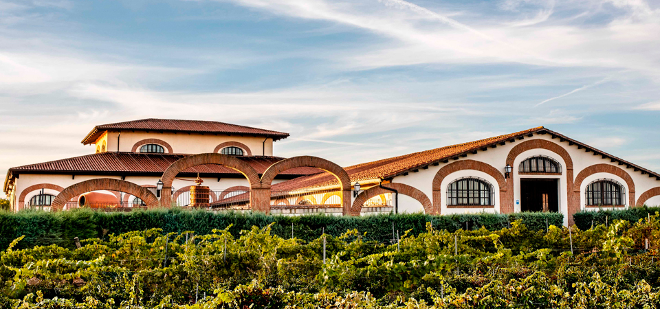 Disfruta de un 2x1 en la visita a Bodegas Fariña: el origen de Toro