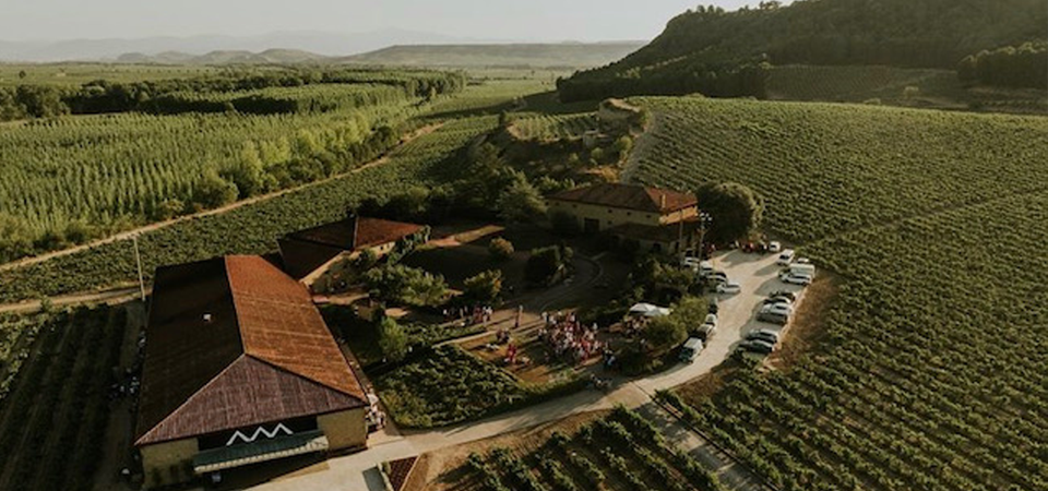 Visita Bodegas Amézola de la Mora