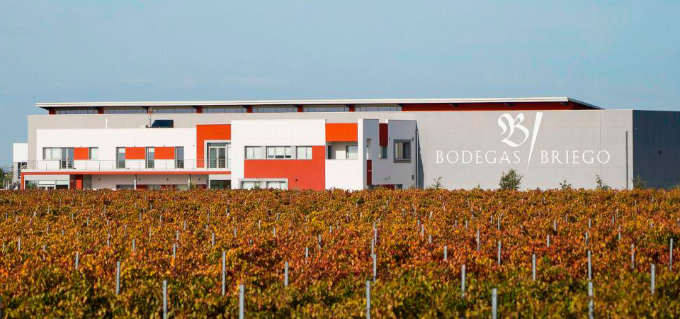 Visita Bodegas Briego
