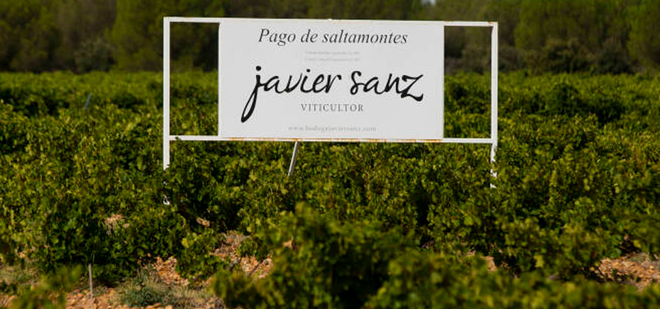 Visita a Javier Sanz