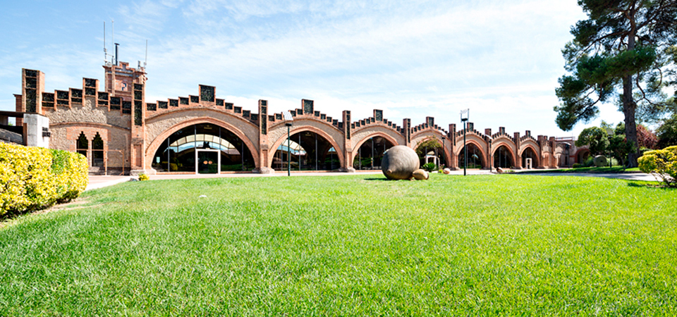 Visita a Bodegas Codorníu