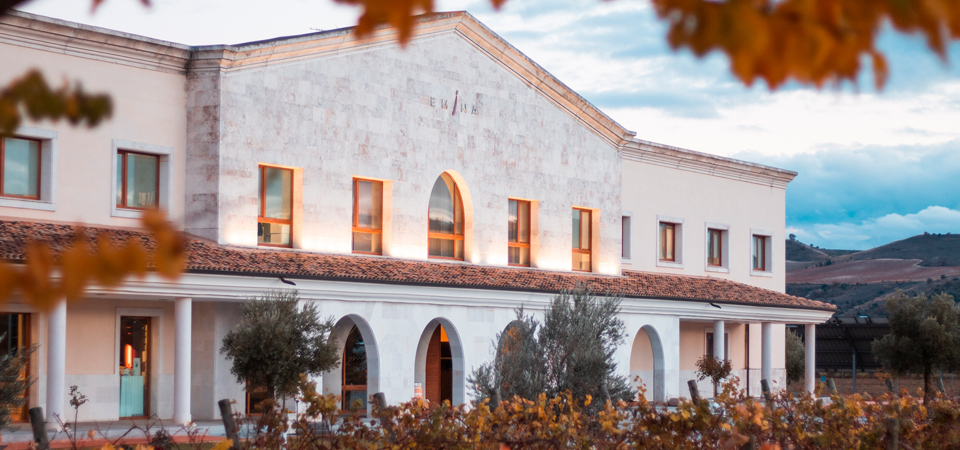 Disfruta de la cultura del vino en plena milla de oro de la Ribera del Duero de la mano de Emina