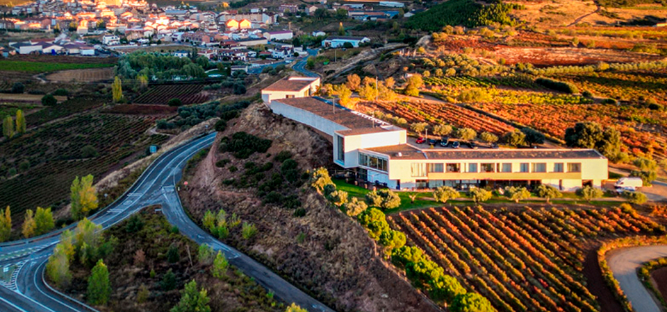 Finca Los Arandinos