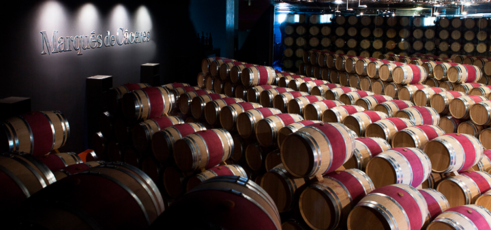 Visita Bodegas Marqués de Cáceres