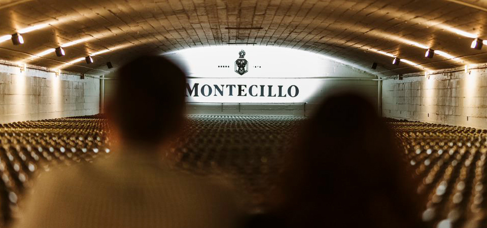 Visita Bodegas Montecillo