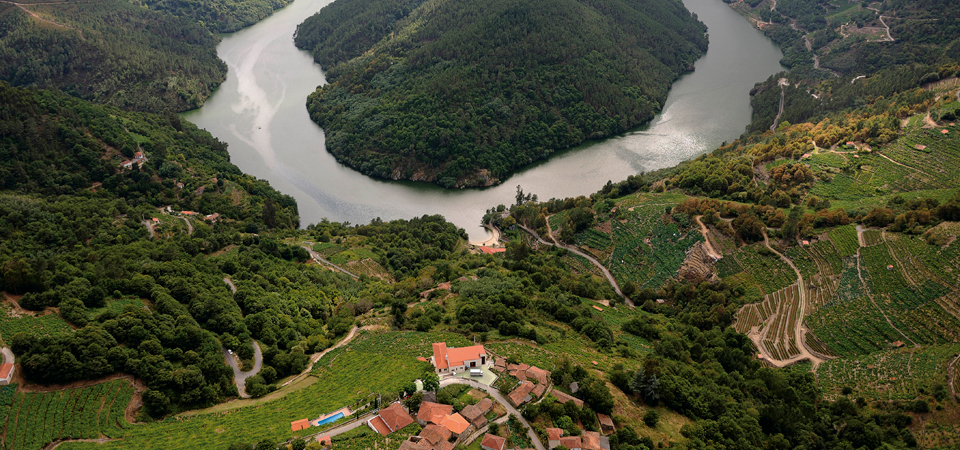 Descubre la Ribeira Sacra en vendimia