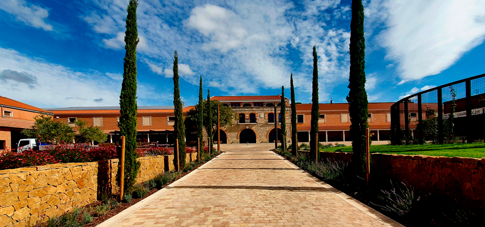 Disfruta de un descuento exclusivo para visitar todas las bodegas del grupo Familia Fernández Rivera