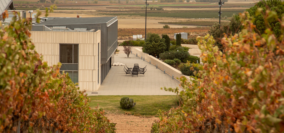 Visita con cata a Cepa 21, la esencia de Ribera del Duero