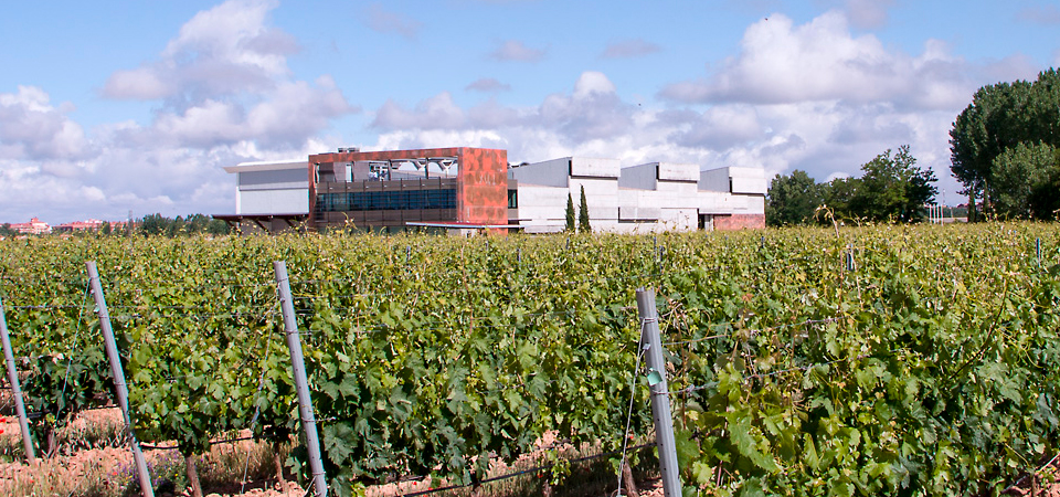 2x1 en la visita a Bodegas Martín Berdugo