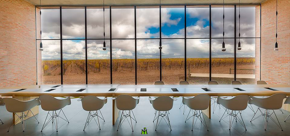 Descubre el auténtico verdejo en Finca Montepedroso