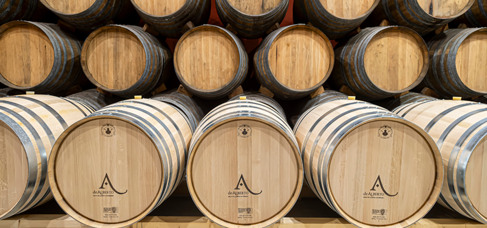 Visita con cata a Bodegas De Alberto, una firma histórica de la D.O. Rueda