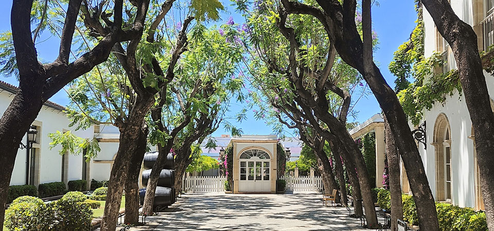 Visita a Bodegas Osborne