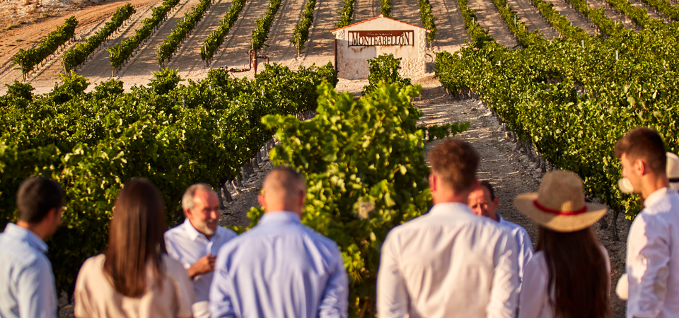 Vive la magia de Ribera del Duero de la mano de Bodegas Monteabellón