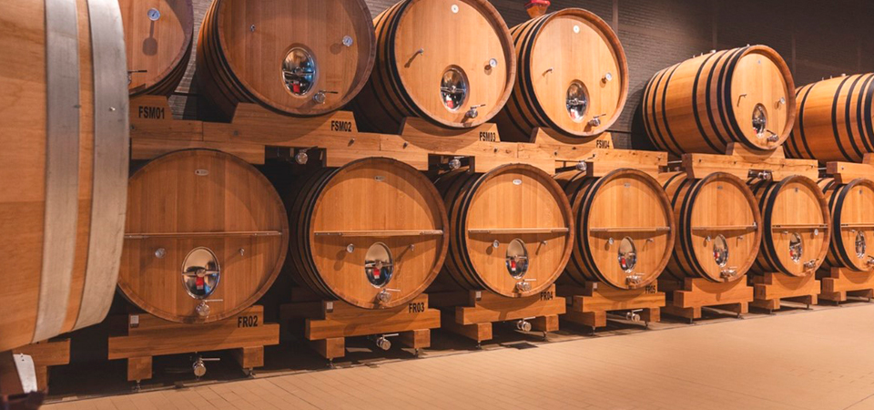 Disfruta de un descuento especial para visitar Bodegas Emilio Moro en el Bierzo