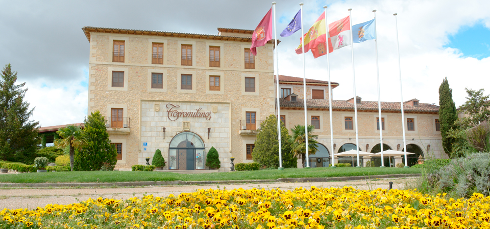 Descubre Torremilanos, una de las bodegas fundadoras de la D.O. Ribera del Duero
