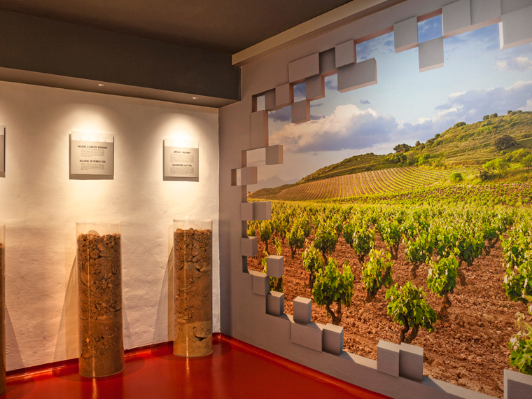Visita a Bodegas Riojanas